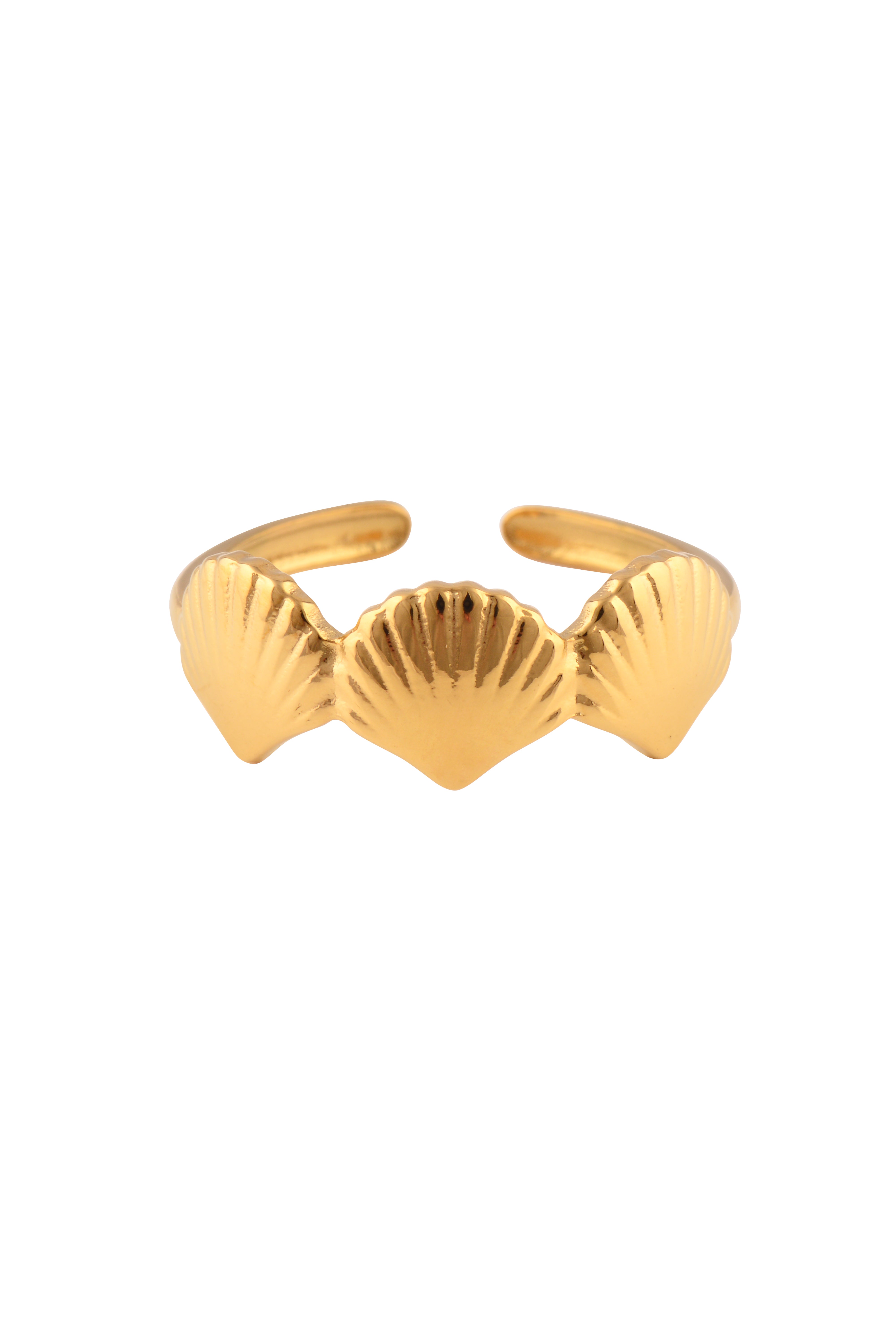 Shell Ring
