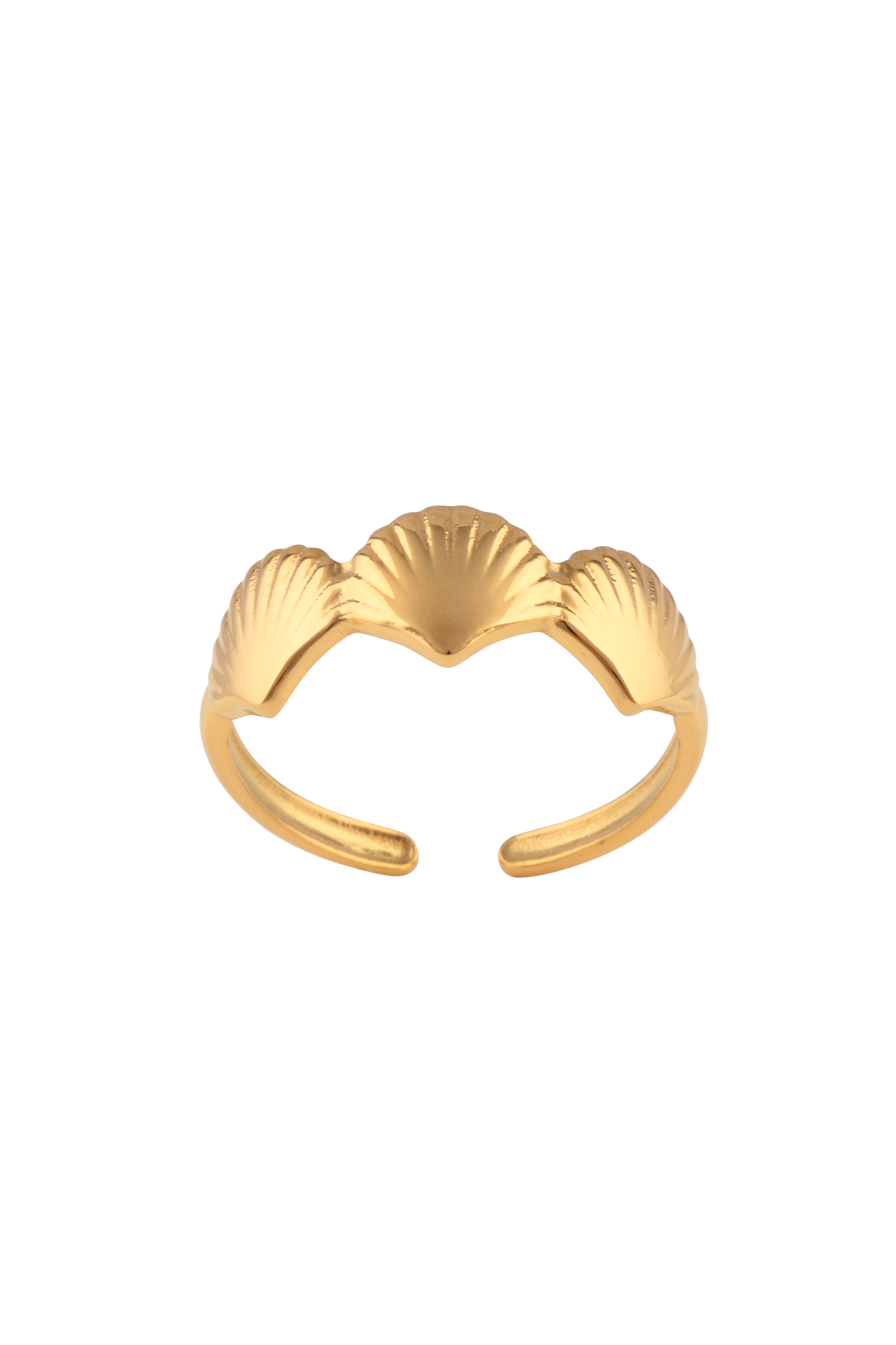 Shell Ring