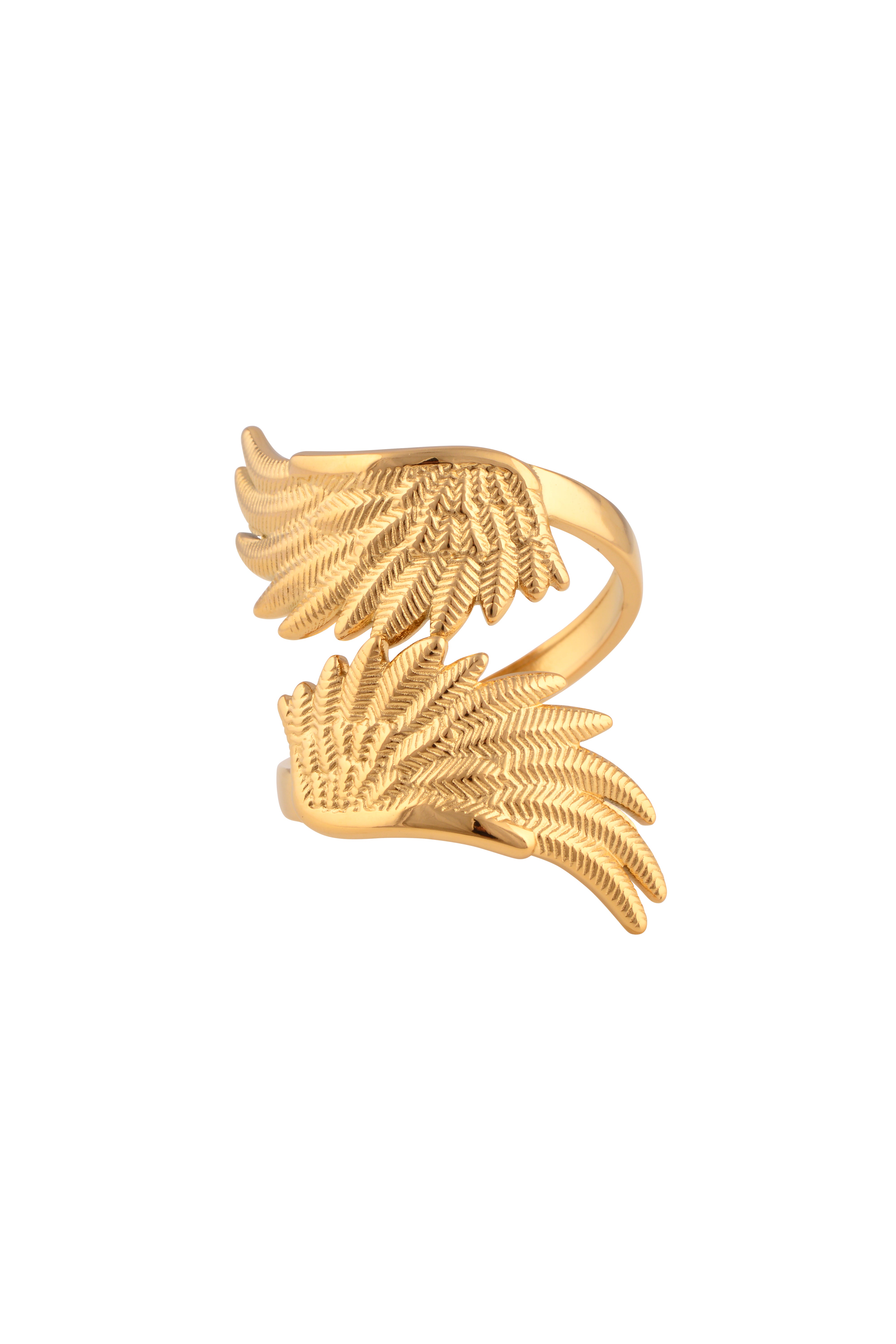 Fly Ring
