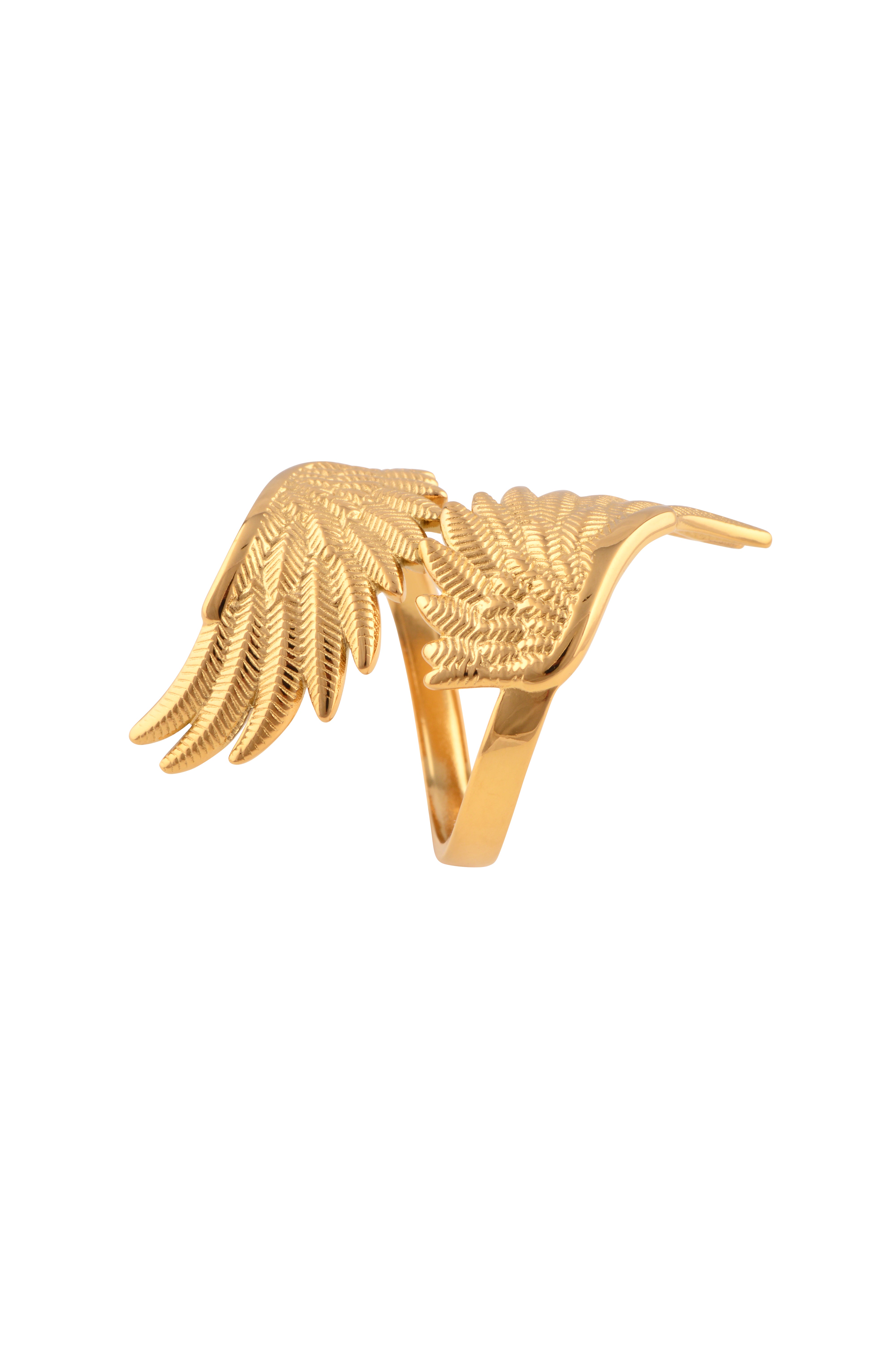 Fly Ring